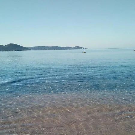 Molini *
